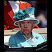 Her Majesty Joe